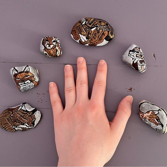 (6) LYNX SHELTER 2 Hand-Painted COLLECTIBLE Custom ROCKS One-Of-A-Kind - Picture 3 of 10